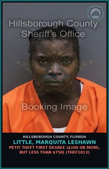 CCW arrest card for LITTLE, MARQUITA LESHAWN in Hillsborough County: PETIT THEFT FIRST DEGREE ($100 OR MORE, BUT LESS THAN $750) (THEF1013)