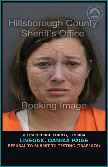 CCW arrest card for LIVEOAK, DANIKA PAIGE in Hillsborough County: REFUSAL TO SUBMIT TO TESTING (TRAF1078)