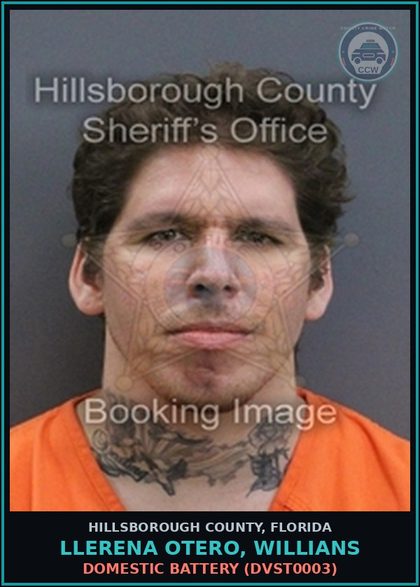 CCW arrest card for LLERENA OTERO, WILLIANS in Hillsborough County: DOMESTIC BATTERY (DVST0003)