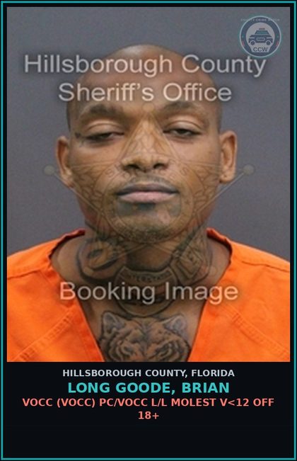 CCW arrest card for LONG GOODE, BRIAN in Hillsborough County: VOCC (VOCC) PC/VOCC L/L MOLEST V<12 OFF 18+