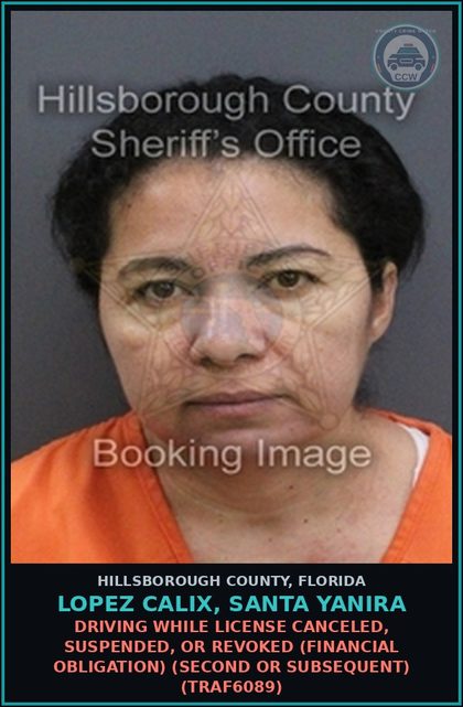 CCW arrest card for LOPEZ CALIX, SANTA YANIRA in Hillsborough County, Florida: DRIVING WHILE LICENSE CANCELED, SUSPENDED, OR REVOKED (FINANCIAL OBLIGATION) (SECOND OR SUBSEQUENT) (TRAF6089)