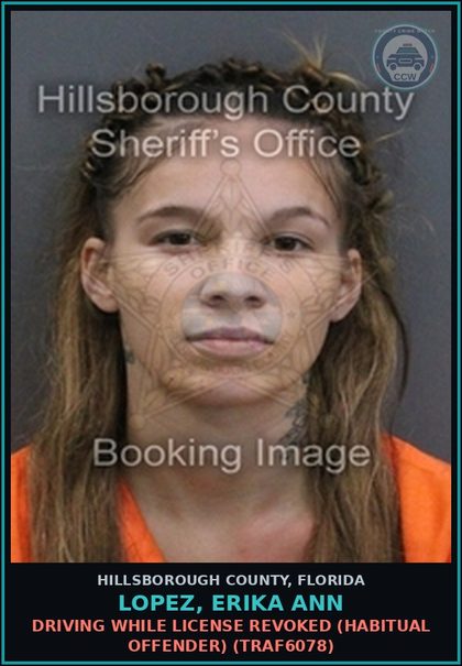 CCW arrest card for LOPEZ, ERIKA ANN in Hillsborough County: DRIVING WHILE LICENSE REVOKED (HABITUAL OFFENDER) (TRAF6078)