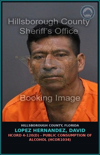 CCW arrest card for LOPEZ HERNANDEZ, DAVID in Hillsborough County: HCORD 4-120(D) - PUBLIC CONSUMPTION OF ALCOHOL (HCOR1034)