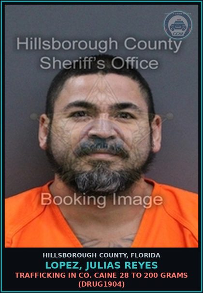 CCW arrest card for LOPEZ, JULIAS REYES in Hillsborough County: TRAFFICKING IN COCAINE 28 TO 200 GRAMS (DRUG1904)