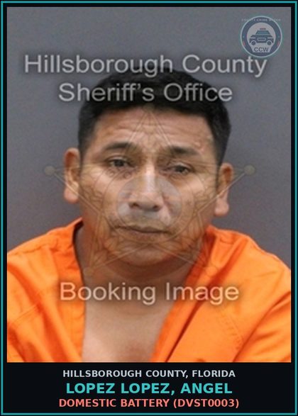 CCW arrest card for LOPEZ LOPEZ, ANGEL in Hillsborough County: DOMESTIC BATTERY (DVST0003)
