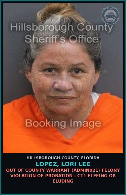 CCW arrest card for LOPEZ, LORI LEE in Hillsborough County: OUT OF COUNTY WARRANT (ADMIN021) FELONY VIOLATION OF PROBATION - CT1 FLEEING OR ELUDING