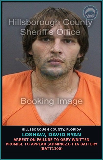 CCW arrest card for LOSHAW, DAVID RYAN in Hillsborough County: ARREST ON FAILURE TO OBEY WRITTEN PROMISE TO APPEAR (ADMIN023) FTA BATTERY (BATT1100)