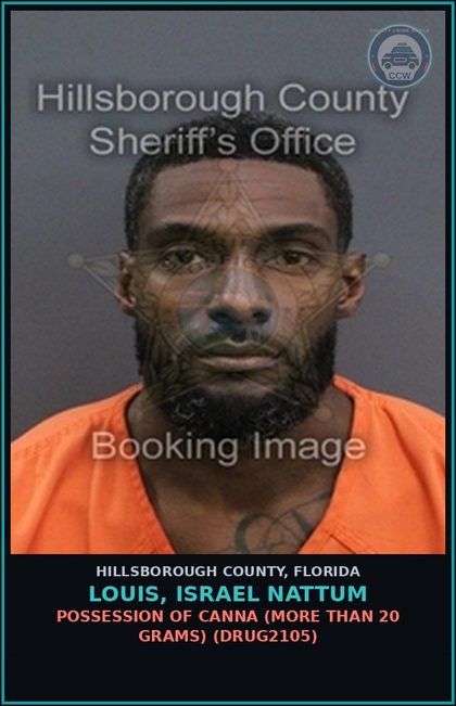 CCW arrest card for LOUIS, ISRAEL NATTUM in Hillsborough County: TAMPERING WITH PHYSICAL EVIDENCE (TAMP4005)