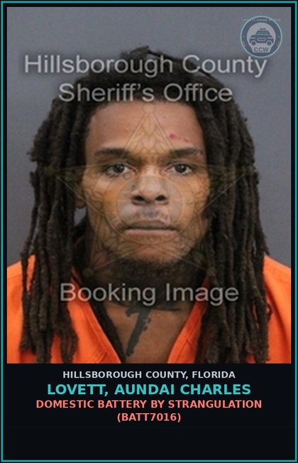 CCW arrest card for LOVETT, AUNDAI CHARLES in Hillsborough County: RESISTING OFFICER WITHOUT VIOLENCE (COPS1001)