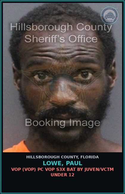 CCW arrest card for LOWE, PAUL in Hillsborough County: VOP (VOP) PC VOP s3x BAT BY JUVEN/VCTM UNDER 12
