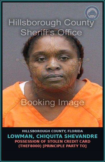 CCW arrest card for LOWMAN, CHIQUITA SHEVANDRE in Hillsborough County: POSSESSION OF STOLEN CREDIT CARD (THEF8000) [PRINCIPLE PARTY TO]