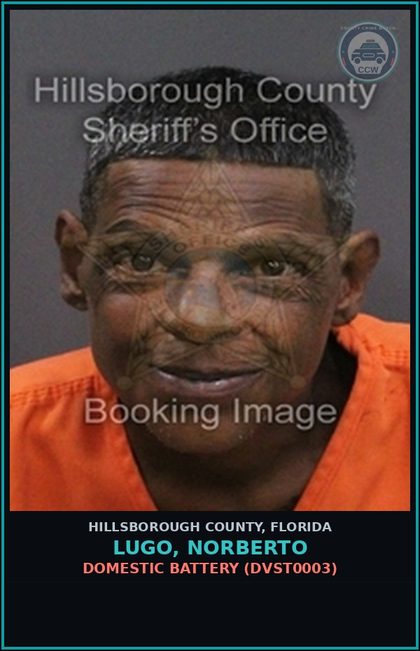 CCW arrest card for LUGO, NORBERTO in Hillsborough County: DOMESTIC BATTERY (DVST0003)