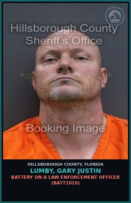 CCW arrest card for LUMBY, GARY JUSTIN in Hillsborough County: CRIMINAL MISCHIEF $200 OR LESS (CRMS1000)
