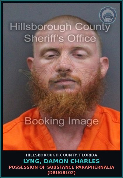 CCW arrest card for LYNG, DAMON CHARLES in Hillsborough County: POSSESSION OF DRUG PARAPHERNALIA (DRUG8102)