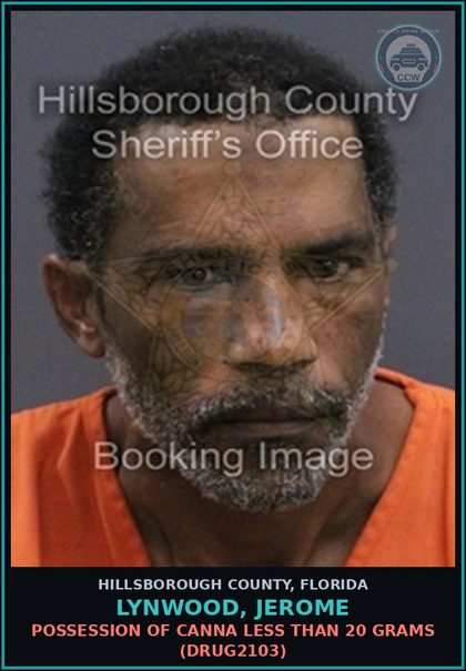 CCW arrest card for LYNWOOD, JEROME in Hillsborough County: DRIVING WHILE LICENSE CANCELED, SUSPENDED, OR REVOKED (SECOND OR SUBSEQUENT OFFENSE) (TRAF6069)