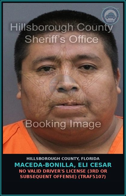 CCW arrest card for MACEDA-BONILLA, ELI CESAR in Hillsborough County: NO VALID DRIVER'S LICENSE (3RD OR SUBSEQUENT OFFENSE) (TRAF5107)