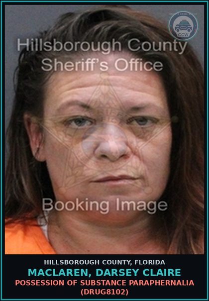 CCW arrest card for MACLAREN, DARSEY CLAIRE in Hillsborough County: POSSESSION OF DRUG PARAPHERNALIA (DRUG8102)