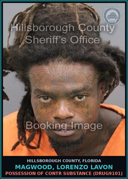 CCW arrest card for MAGWOOD, LORENZO LAVON in Hillsborough County: POSSESSION OF contr substance (DRUG9101)