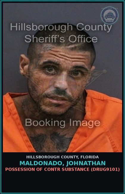 CCW arrest card for MALDONADO, JOHNATHAN in Hillsborough County: POSSESSION OF contr substance (DRUG9101)