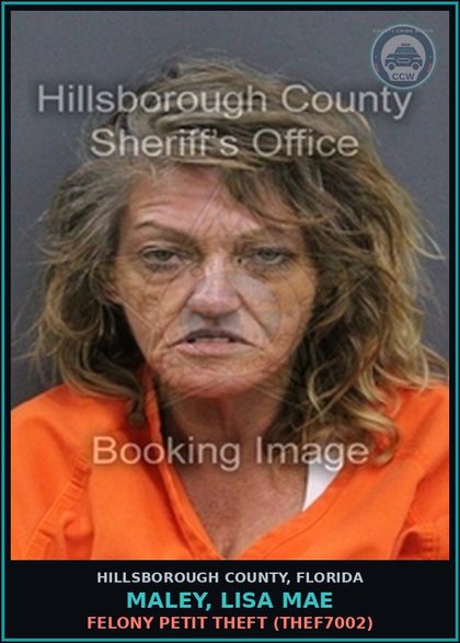 CCW arrest card for MALEY, LISA MAE in Hillsborough County: FELONY PETIT THEFT (THEF7002)