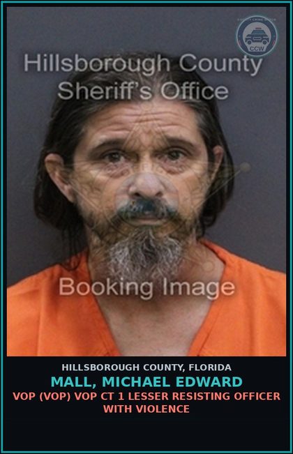 CCW arrest card for MALL, MICHAEL EDWARD in Hillsborough County: VOP (VOP) VOP CT 1 LESSER RESISTING OFFICER WITH VIOLENCE