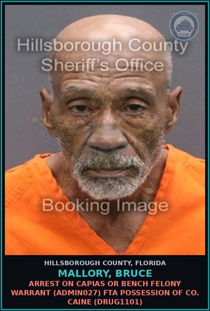 CCW arrest card for MALLORY, BRUCE in Hillsborough County: ARREST ON CAPIAS OR BENCH FELONY WARRANT (ADMIN027) FTA POSSESSION OF COCAINE (DRUG1101)