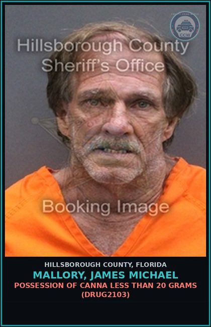 CCW arrest card for MALLORY, JAMES MICHAEL in Hillsborough County: DRIVING WHILE LICENSE CANCELED, SUSPENDED, OR REVOKED (SECOND OR SUBSEQUENT OFFENSE) (TRAF6069)