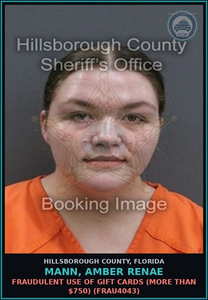 CCW arrest card for MANN, AMBER RENAE in Hillsborough County: FRAUDULENT USE OF GIFT CARDS (MORE THAN $750) (FRAU4043)