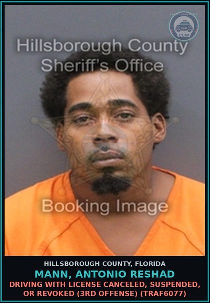 CCW arrest card for MANN, ANTONIO RESHAD in Hillsborough County: DRIVING WITH LICENSE CANCELED, SUSPENDED, OR REVOKED (3RD OFFENSE) (TRAF6077)