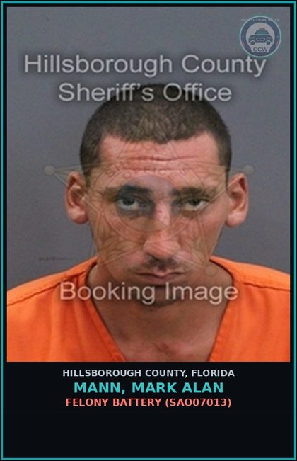 CCW arrest card for MANN, MARK ALAN in Hillsborough County: FELONY BATTERY (SAO07013)