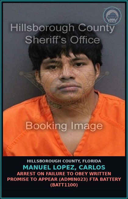 CCW arrest card for MANUEL LOPEZ, CARLOS in Hillsborough County: ARREST ON FAILURE TO OBEY WRITTEN PROMISE TO APPEAR (ADMIN023) FTA BATTERY (BATT1100)