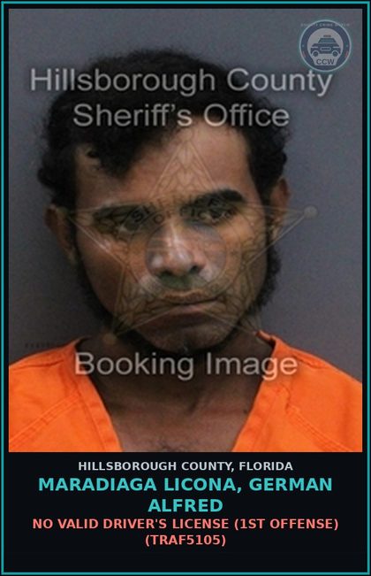CCW arrest card for MARADIAGA LICONA, GERMAN ALFRED in Hillsborough County: NO VALID DRIVER'S LICENSE (1ST OFFENSE) (TRAF5105)