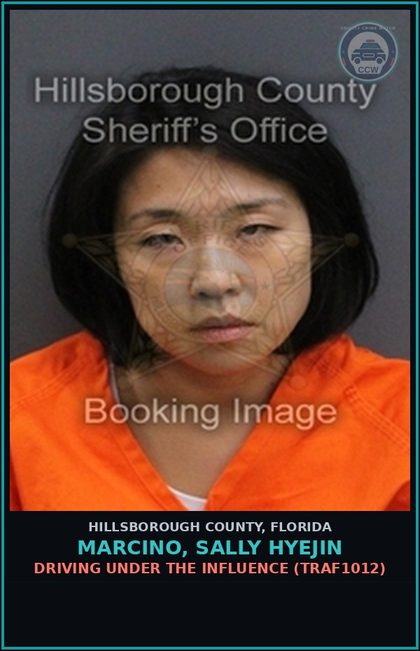 CCW arrest card for MARCINO, SALLY HYEJIN in Hillsborough County: DRIVING UNDER THE INFLUENCE (TRAF1012)