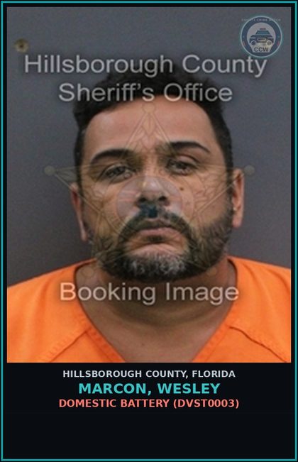 CCW arrest card for MARCON, WESLEY in Hillsborough County: DOMESTIC BATTERY (DVST0003)