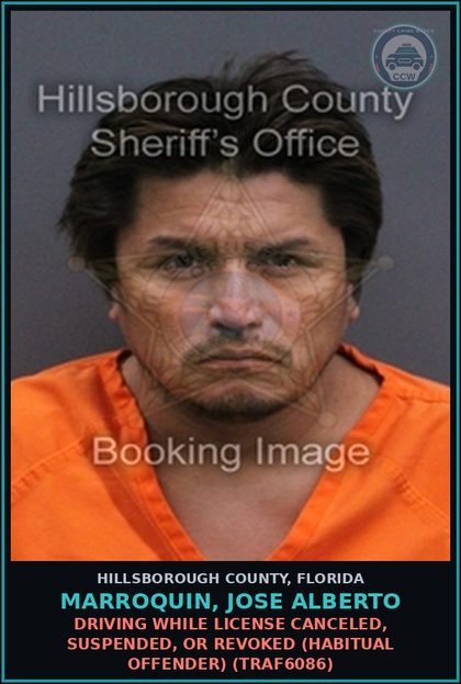CCW arrest card for MARROQUIN, JOSE ALBERTO in Hillsborough County: DRIVING WHILE LICENSE CANCELED, SUSPENDED, OR REVOKED (HABITUAL OFFENDER) (TRAF6086)