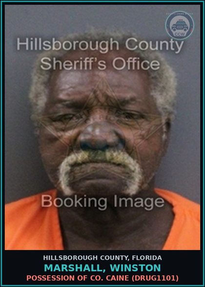 CCW arrest card for MARSHALL, WINSTON in Hillsborough County: POSSESSION OF COCAINE (DRUG1101)