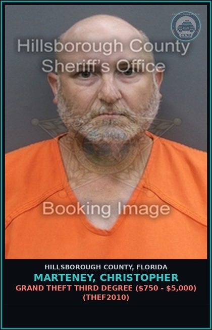 CCW arrest card for MARTENEY, CHRISTOPHER in Hillsborough County: GRAND THEFT THIRD DEGREE ($750 - $5,000) (THEF2010)