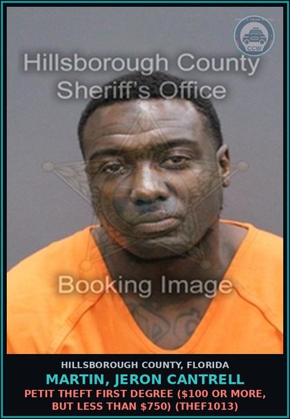 CCW arrest card for MARTIN, JERON CANTRELL in Hillsborough County: PERJURY BY FALSE WRITTEN DECLARATION (PERJ4500)