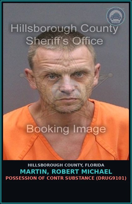 CCW arrest card for MARTIN, ROBERT MICHAEL in Hillsborough County: POSSESSION OF contr substance (DRUG9101)