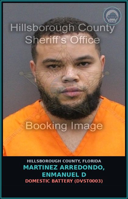 CCW arrest card for MARTINEZ ARREDONDO, ENMANUEL D in Hillsborough County: FALSE IMPRISONMENT (KIDN5003)