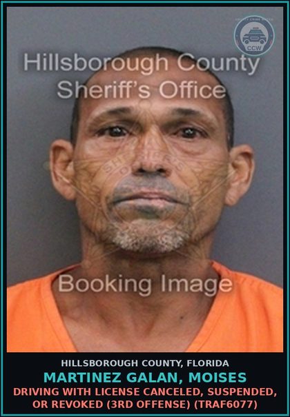 CCW arrest card for MARTINEZ GALAN, MOISES in Hillsborough County: DRIVING WITH LICENSE CANCELED, SUSPENDED, OR REVOKED (3RD OFFENSE) (TRAF6077)