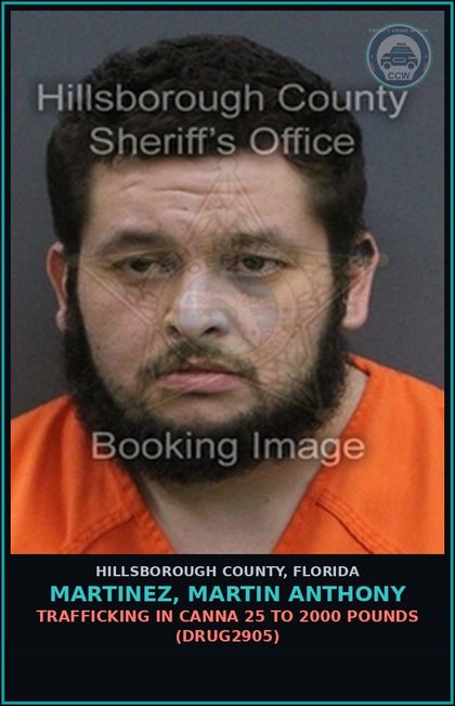 CCW arrest card for MARTINEZ, MARTIN ANTHONY in Hillsborough County: POSSESSION OF Canna WITH INTENT TO SELL, MANUFACTURE, OR DELIVER (DRUG2320)