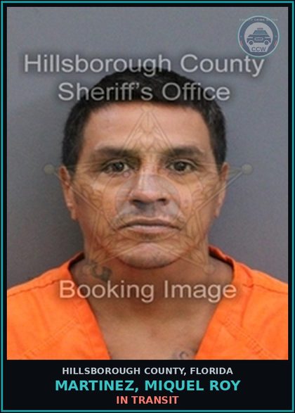 CCW arrest card for MARTINEZ, MIQUEL ROY in Hillsborough County: In Transit