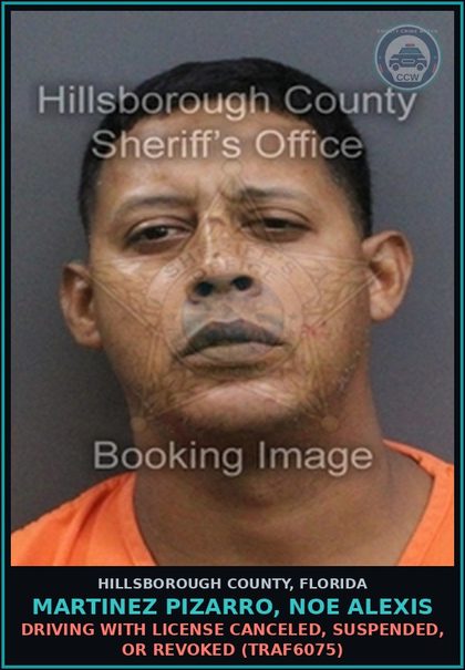 CCW arrest card for MARTINEZ PIZARRO, NOE ALEXIS in Hillsborough County: DRIVING WITH LICENSE CANCELED, SUSPENDED, OR REVOKED (TRAF6075)