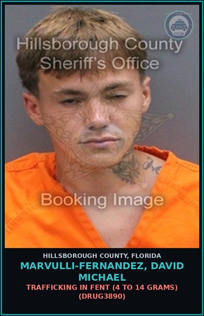 CCW arrest card for MARVULLI-FERNANDEZ, DAVID MICHAEL in Hillsborough County: TRAFFICKING IN Fent (4 TO 14 GRAMS) (DRUG3890)