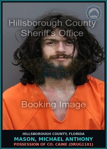 CCW arrest card for MASON, MICHAEL ANTHONY in Hillsborough County: LOITERING OR PROWLING (MISC0019)