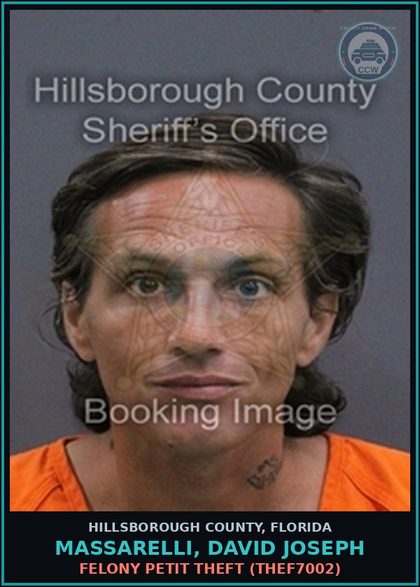 CCW arrest card for MASSARELLI, DAVID JOSEPH in Hillsborough County: FELONY PETIT THEFT (THEF7002)