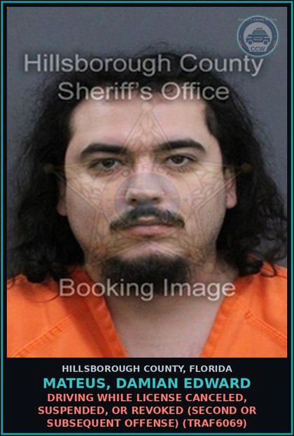CCW arrest card for MATEUS, DAMIAN EDWARD in Hillsborough County: DRIVING WHILE LICENSE CANCELED, SUSPENDED, OR REVOKED (SECOND OR SUBSEQUENT OFFENSE) (TRAF6069)