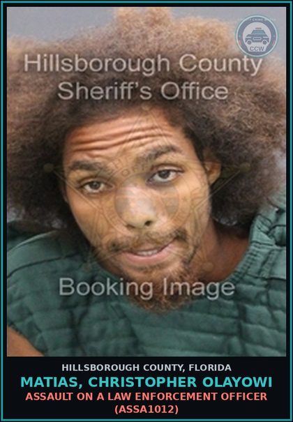 CCW arrest card for MATIAS, CHRISTOPHER OLAYOWI in Hillsborough County: ASSAULT ON A LAW ENFORCEMENT OFFICER (ASSA1012)