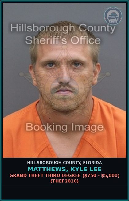 CCW arrest card for MATTHEWS, KYLE LEE in Hillsborough County: GRAND THEFT THIRD DEGREE ($750 - $5,000) (THEF2010)
